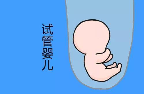关于丹韵生殖